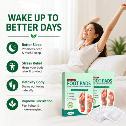 Detox Foot Patches (Pack of 2) 20 Pices